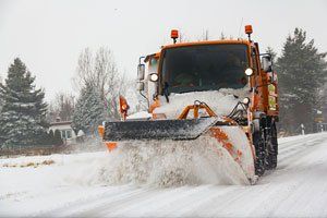 Snow Removal and Salting