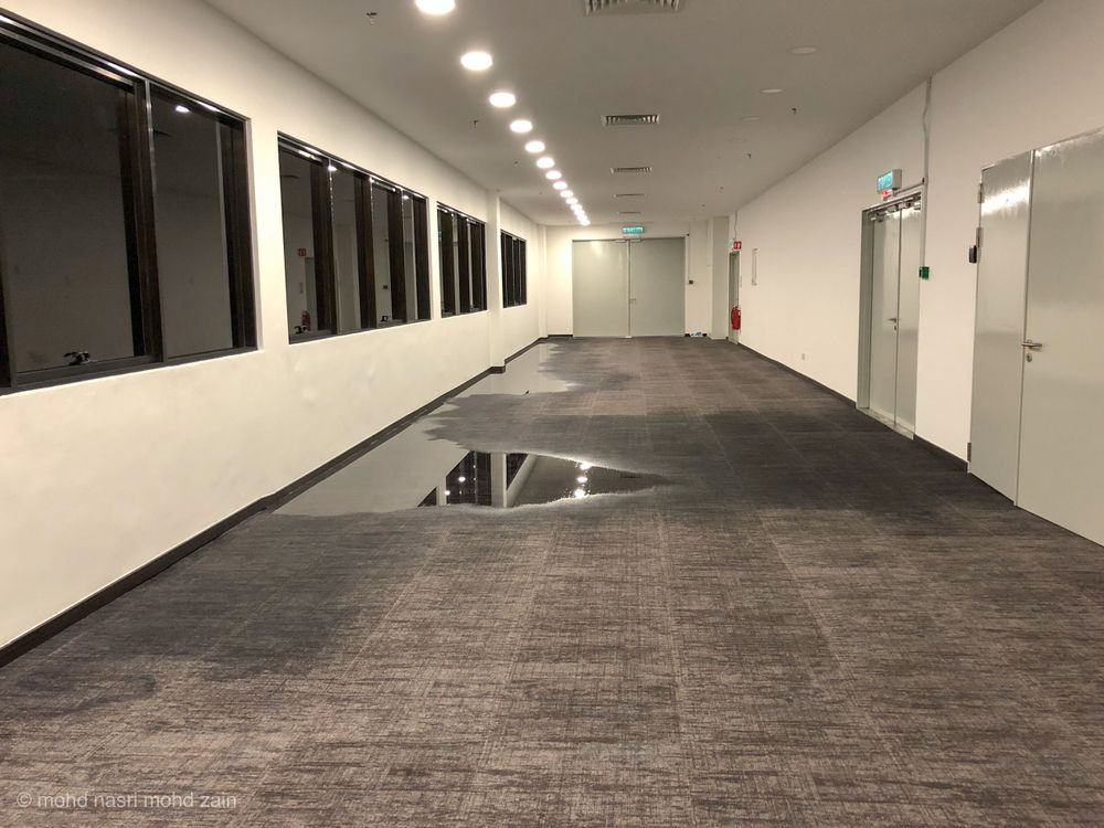 Empty office hallway with gray carpet, white walls, ceiling lights, and windows along the left side.