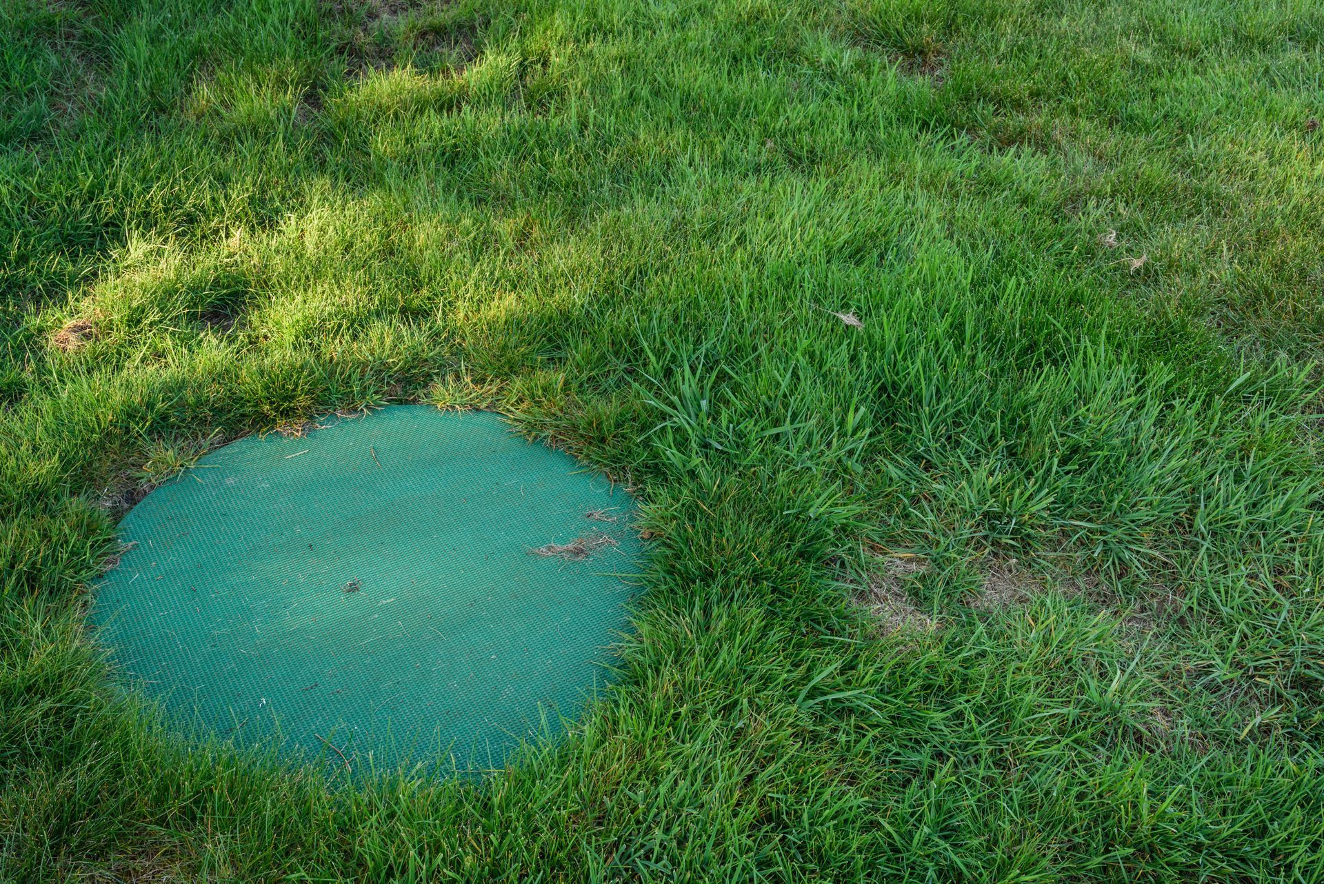 Green circular mat on a patch of grass.