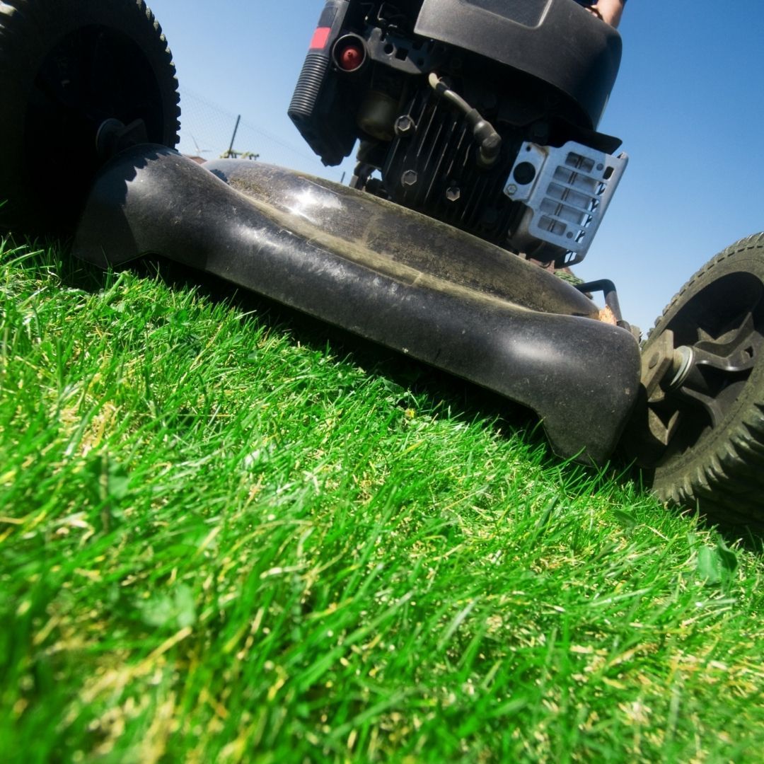 Low-angle view of a lawn mower cutting bright green grass on a sunny day