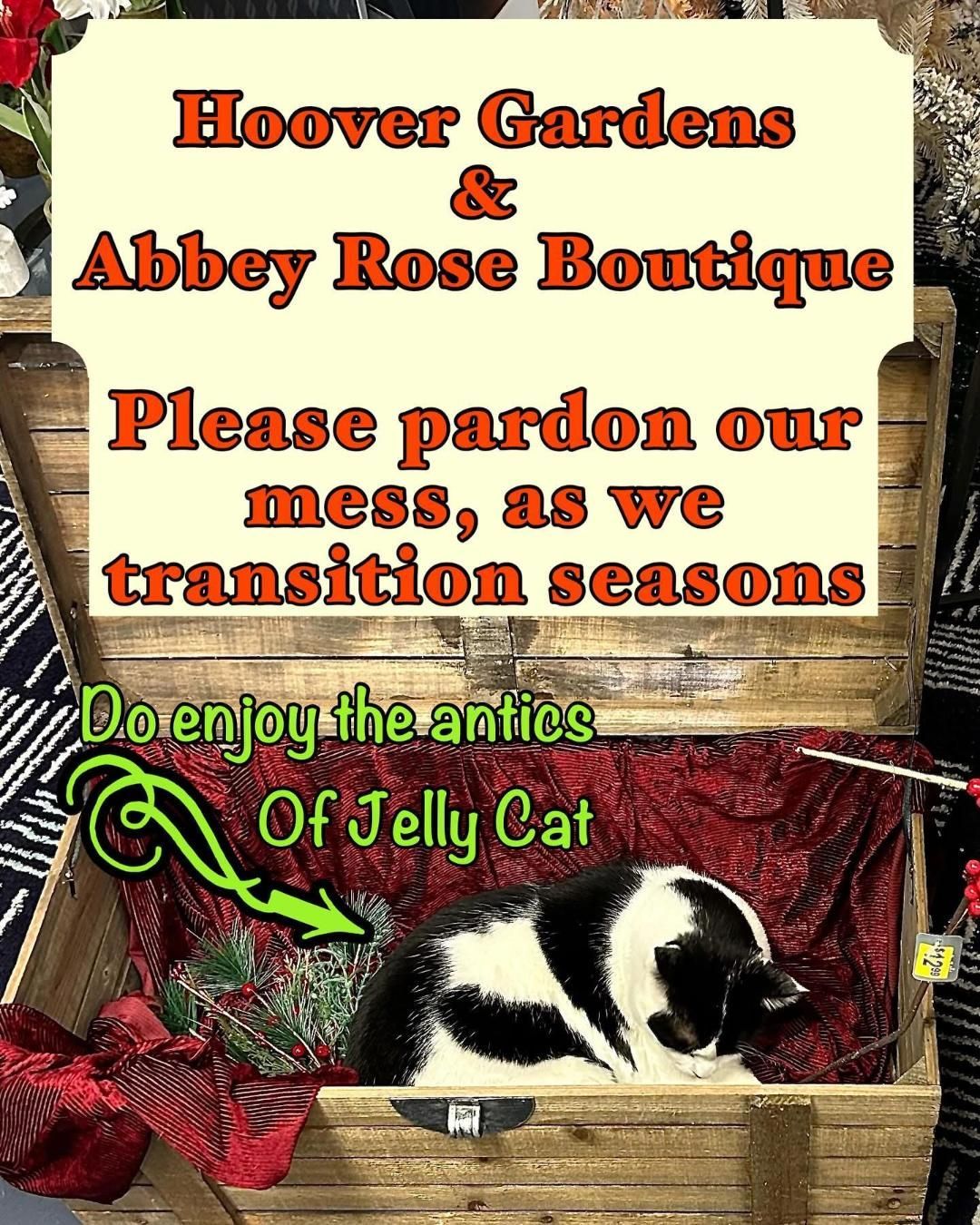 A black and white cat is laying in a wooden chest