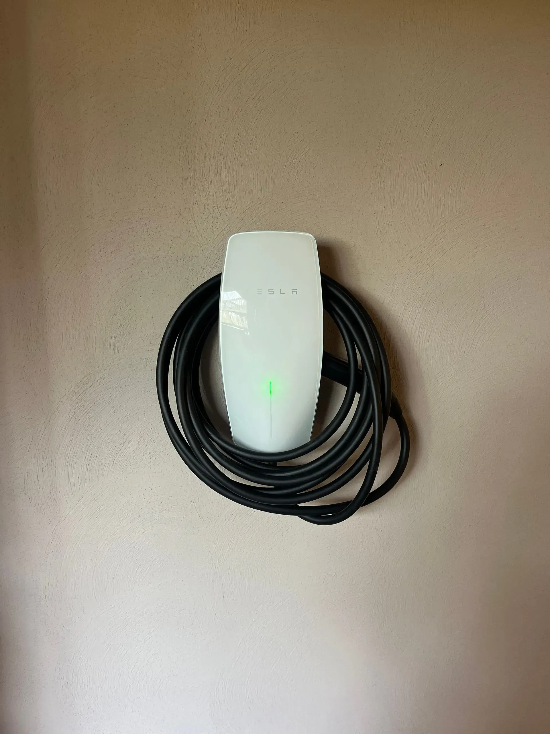 A white mouse is hanging on a wall next to a black cord.