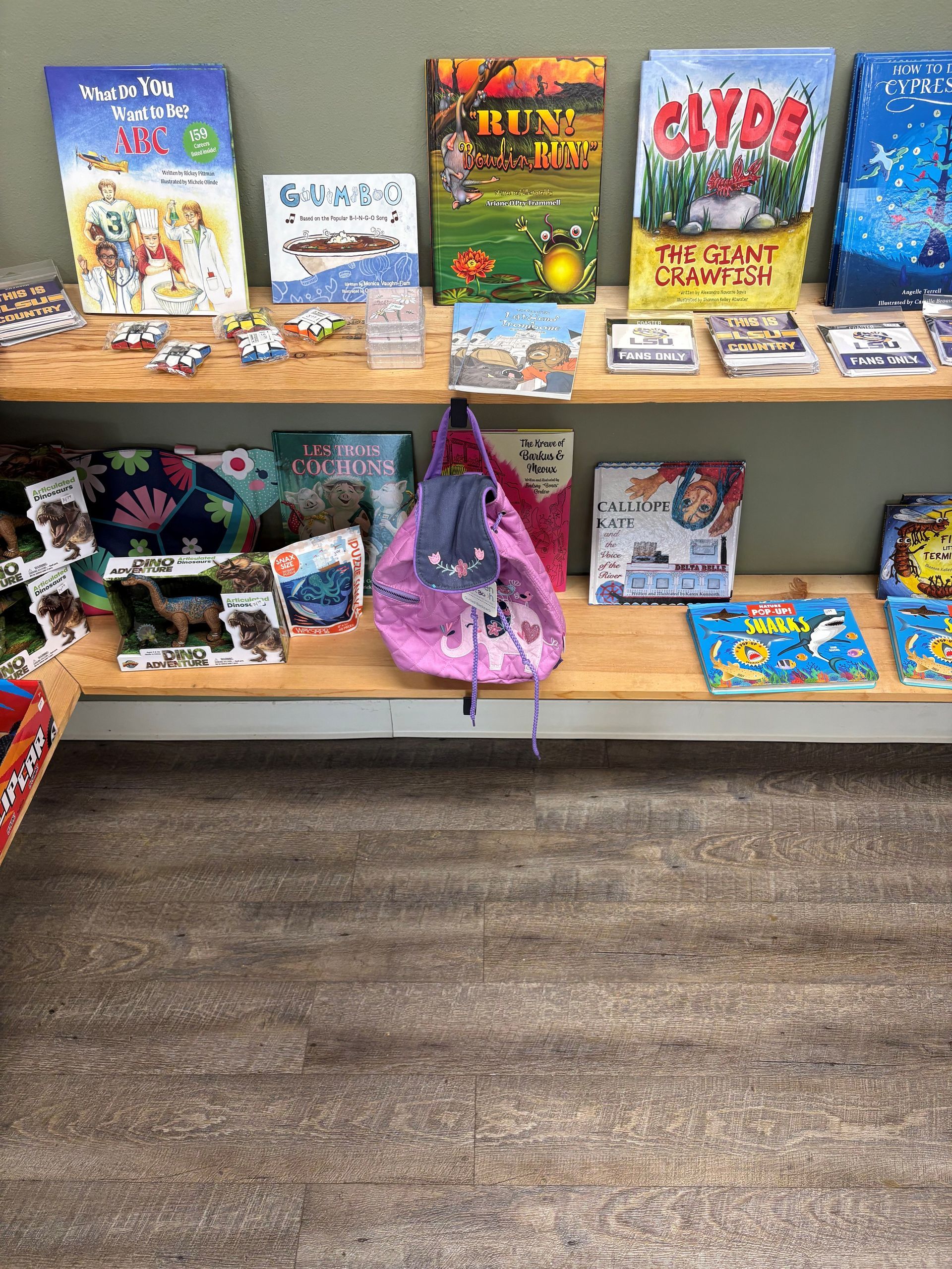 Children’s book display on wooden shelves