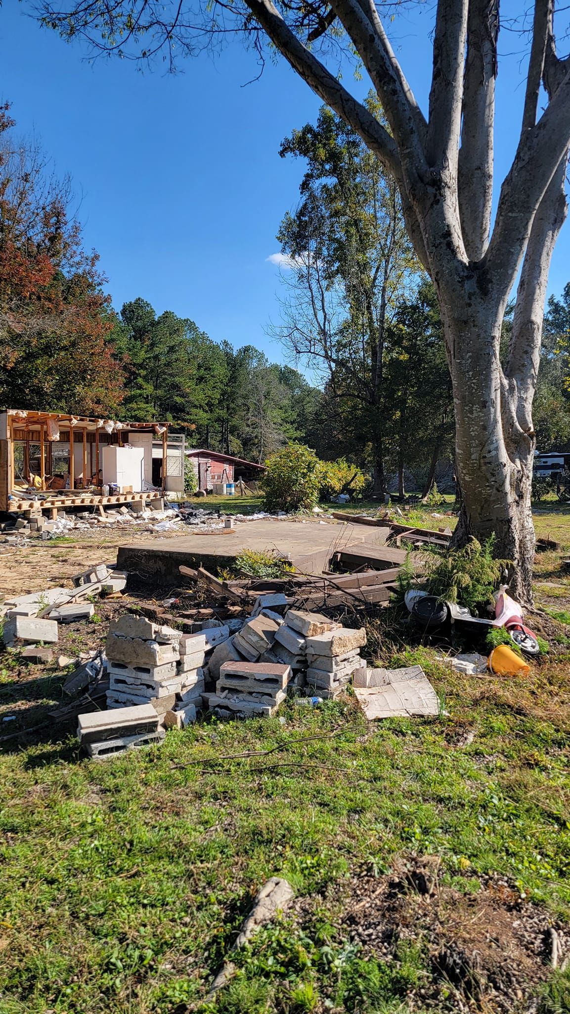 A large tree is sitting in the middle of a grassy field.