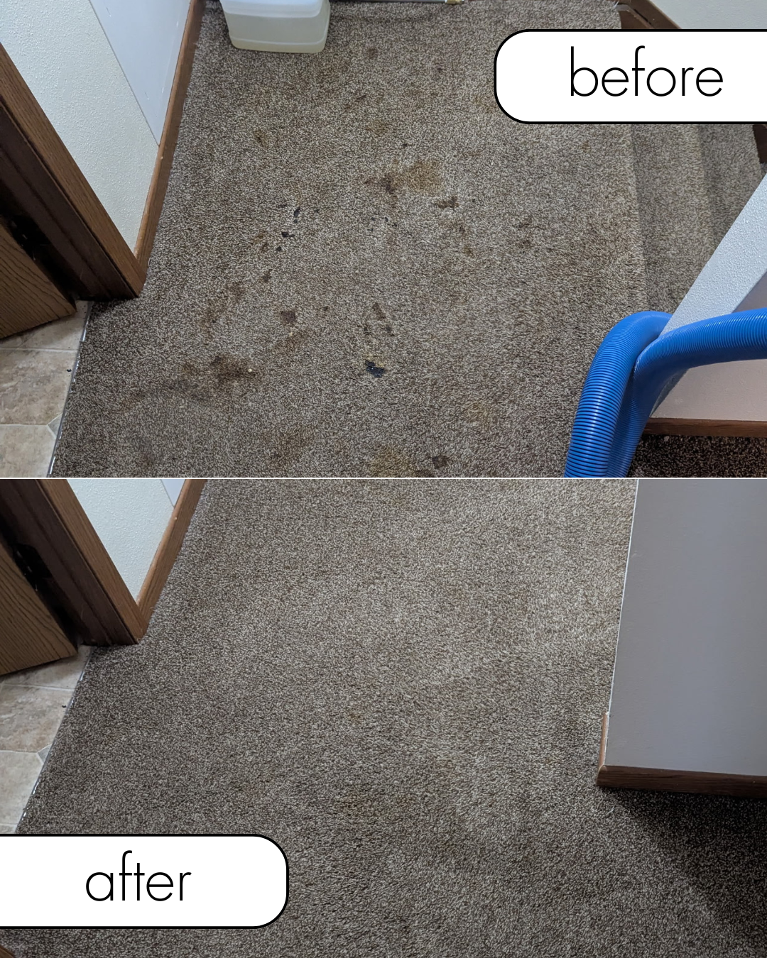 A before and after picture of a carpet being cleaned with a vacuum cleaner.