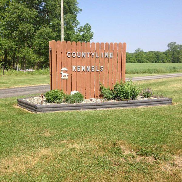 A wooden sign for countyline kennels sits in the grass