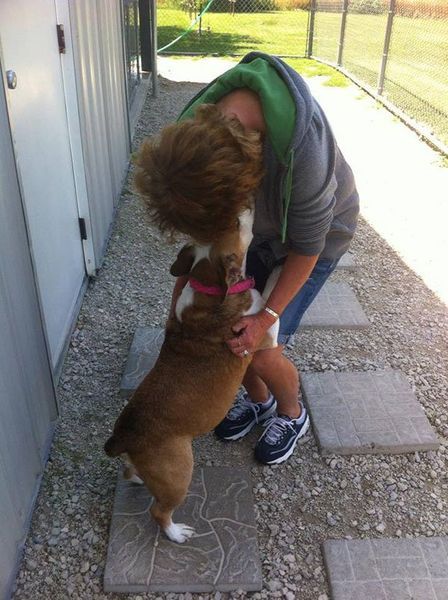 A woman in a green hoodie is hugging a brown dog