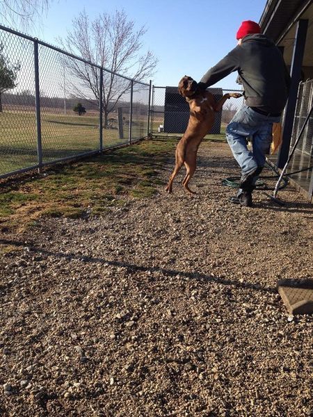A man is jumping in the air to catch a dog