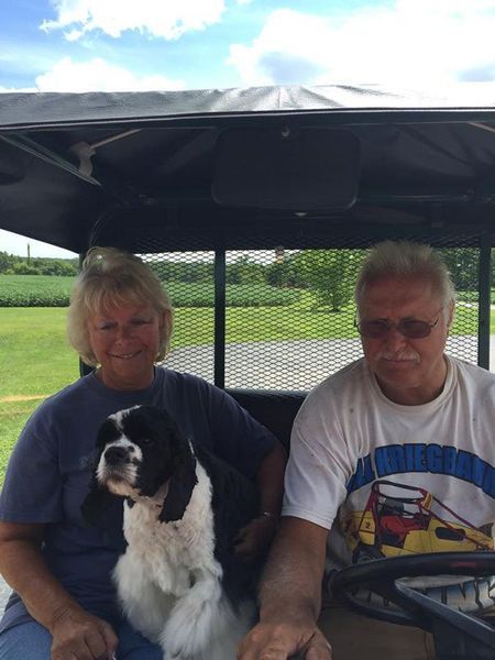 A man and woman are sitting in a golf cart with a dog