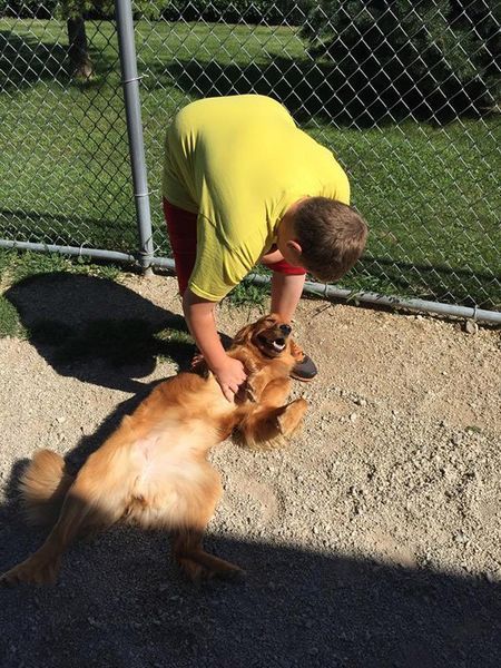 A boy in a yellow shirt is petting a dog