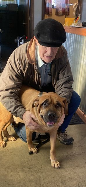 A man is kneeling down holding a brown dog.