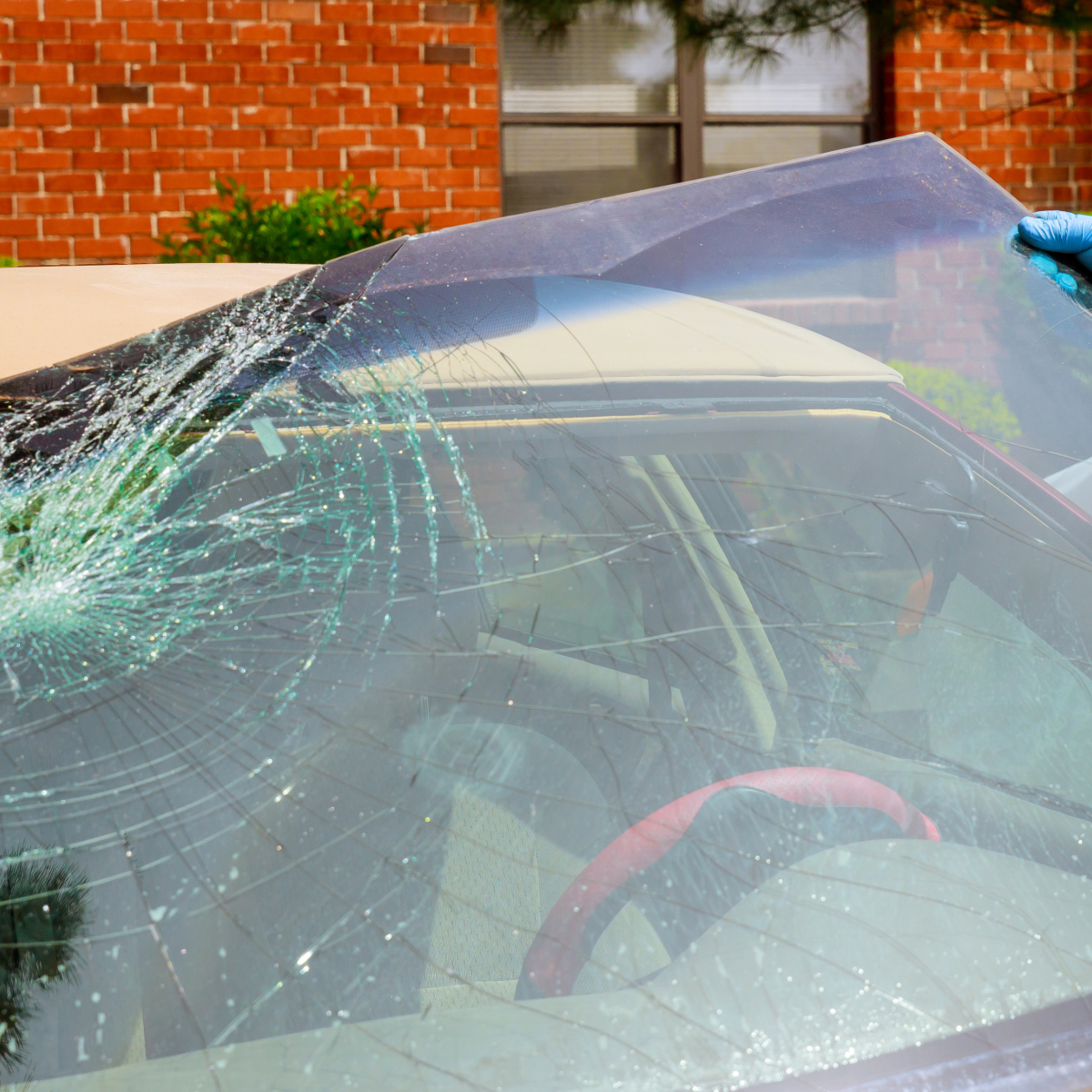 Damaged car windshield being replaced. Broken glass visible. Someone holding new glass, with a red steering wheel.