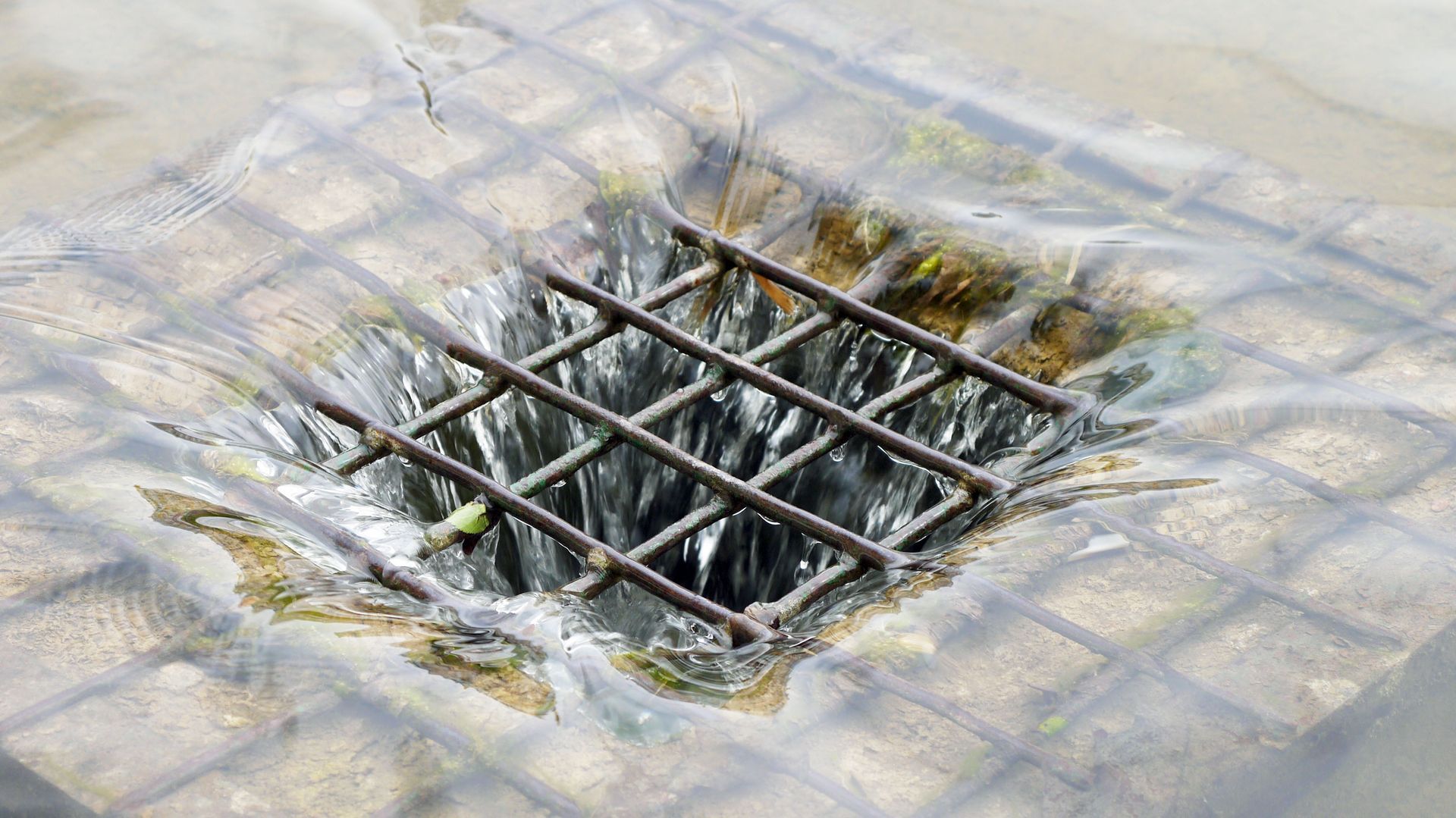 grease trap services