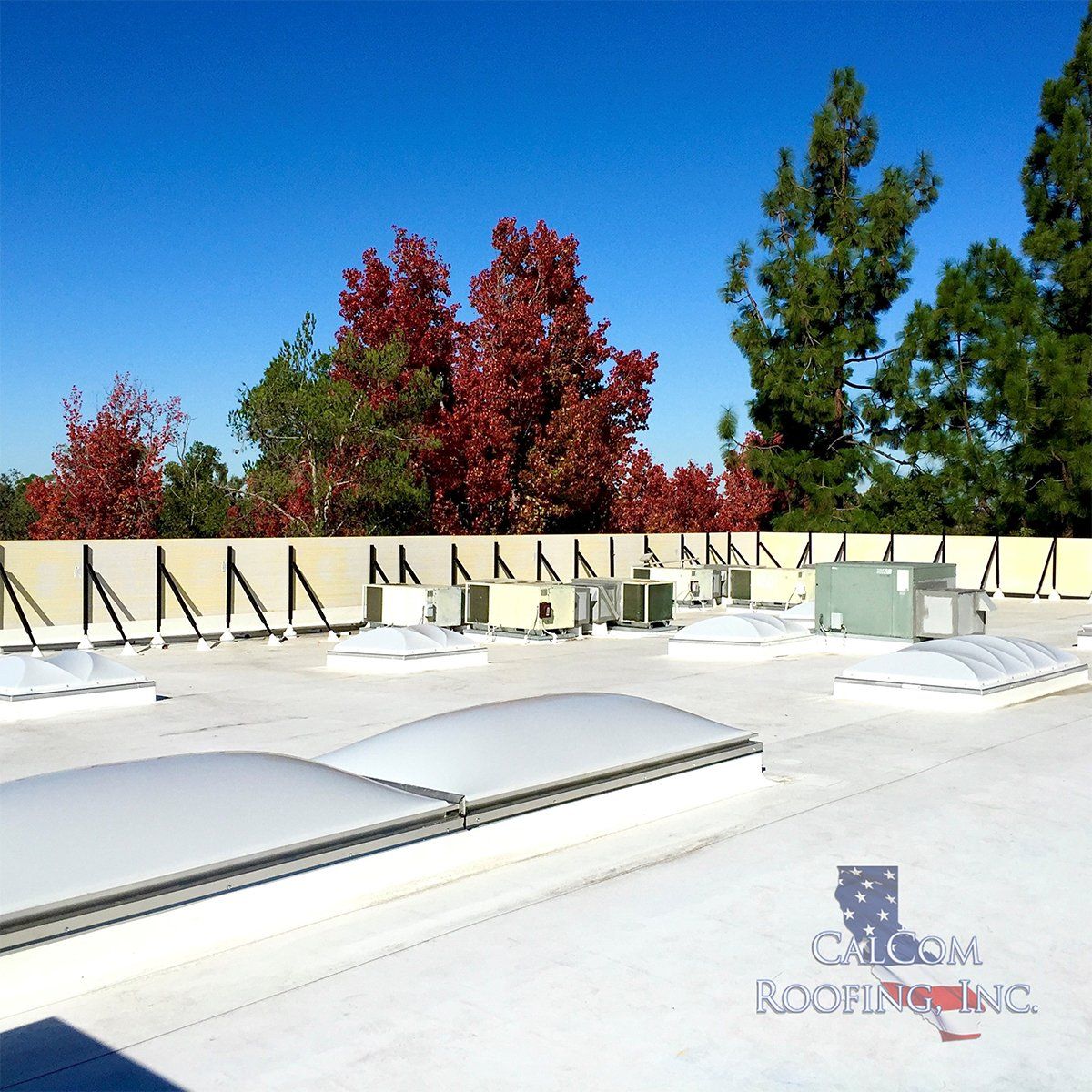 Commercial TPO roofing