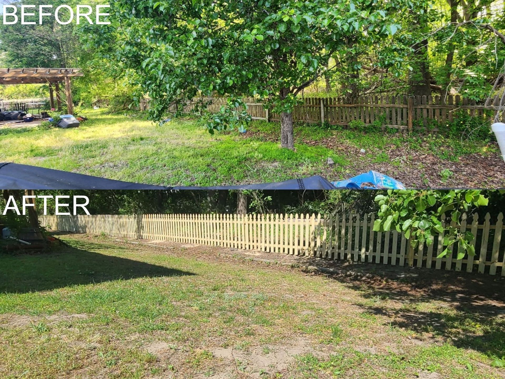 Before-and-after view of a yard with a trimmed tree, cleared grass, and a white picket fence.