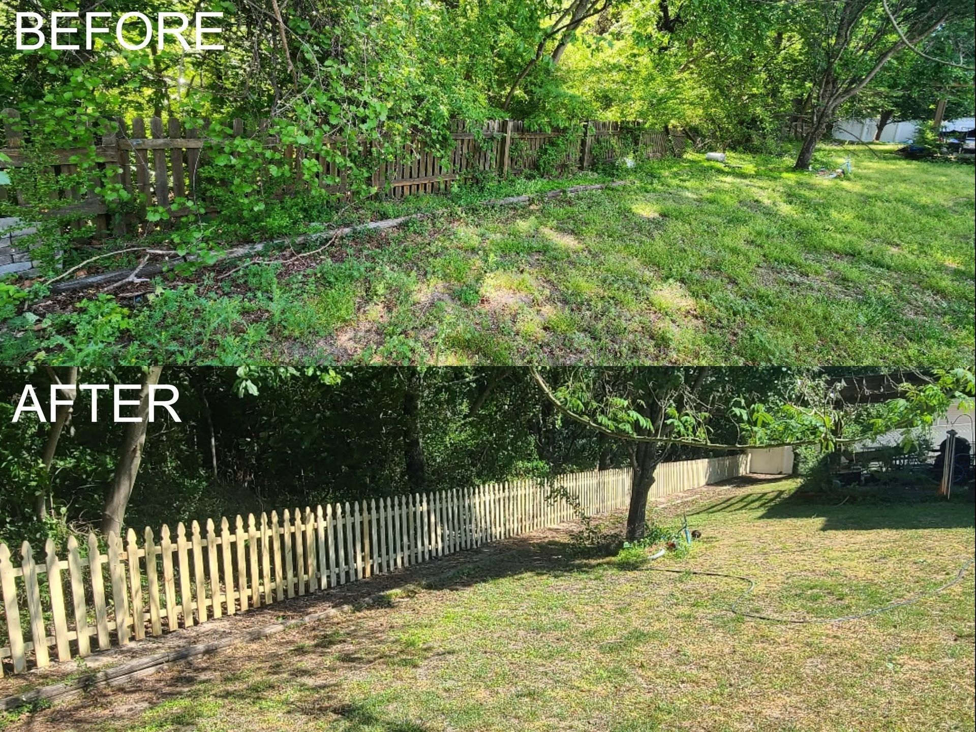 Before-and-after yard view: overgrown green slope above a trimmed lawn and white picket fence.