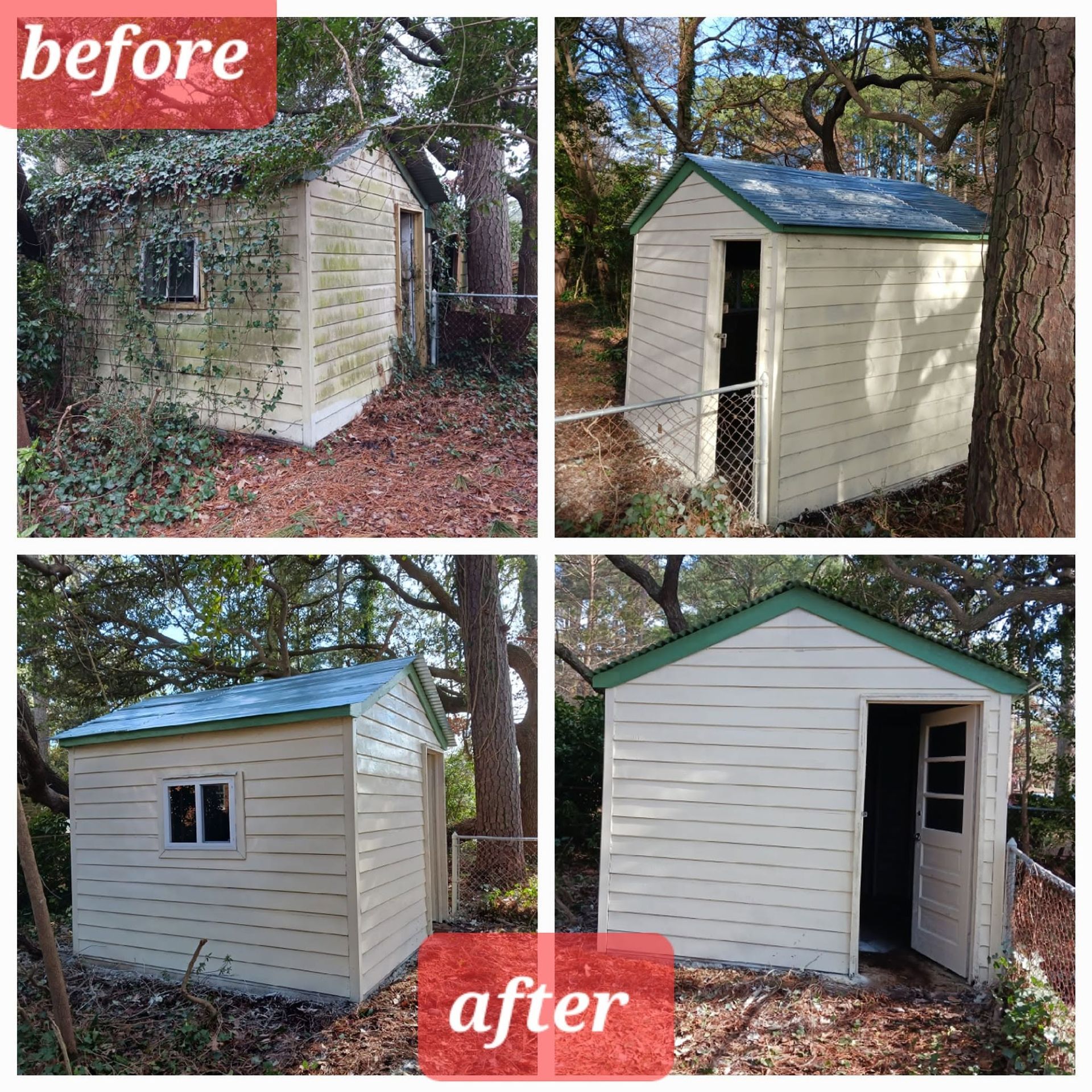 Before-and-after collage of a small shed renovation in a wooded yard, showing peeling siding replaced with white siding.