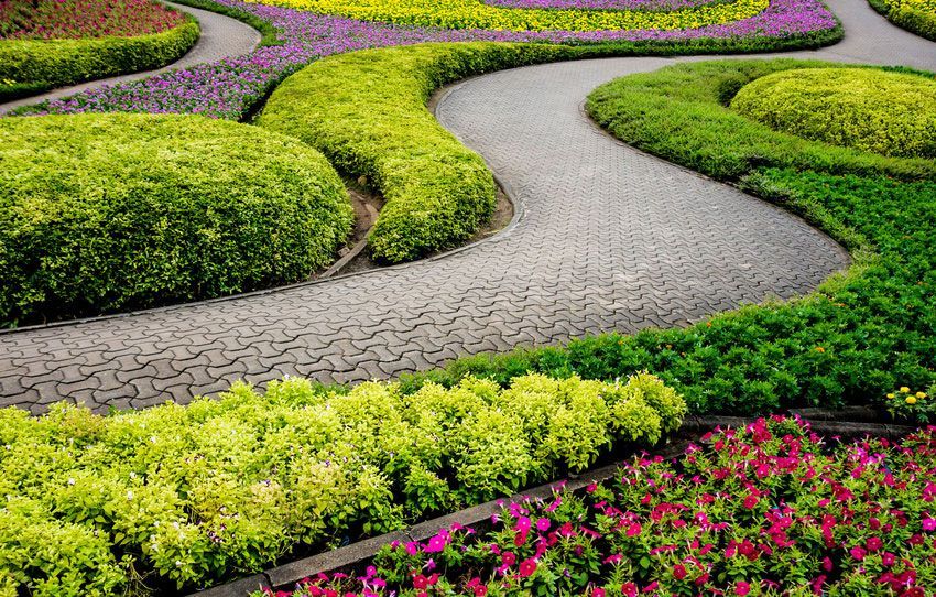 Shaunty's Lawn & Landscape LLC