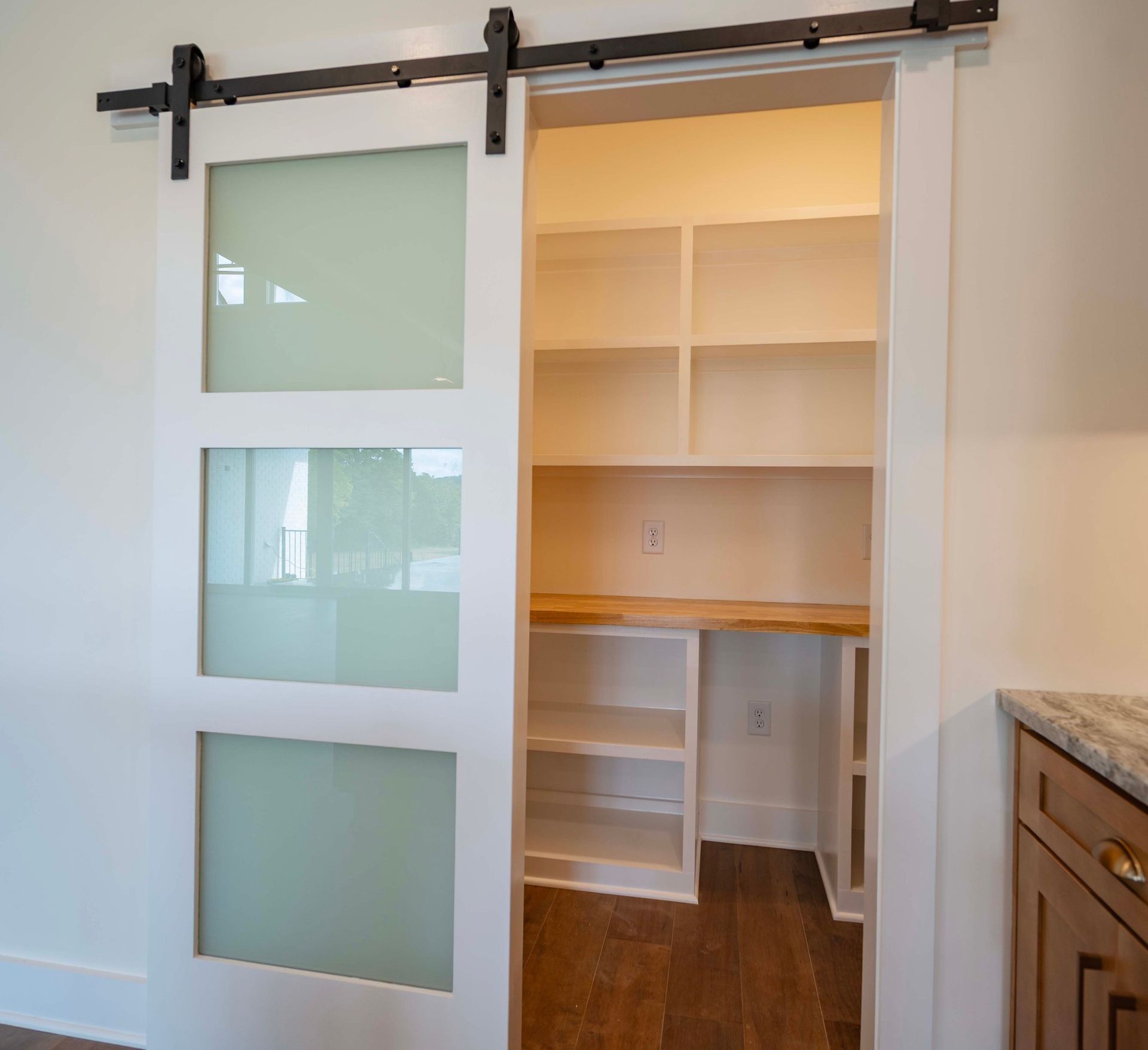 White barn door with frosted glass panels, leading to a pantry with shelves and countertop.