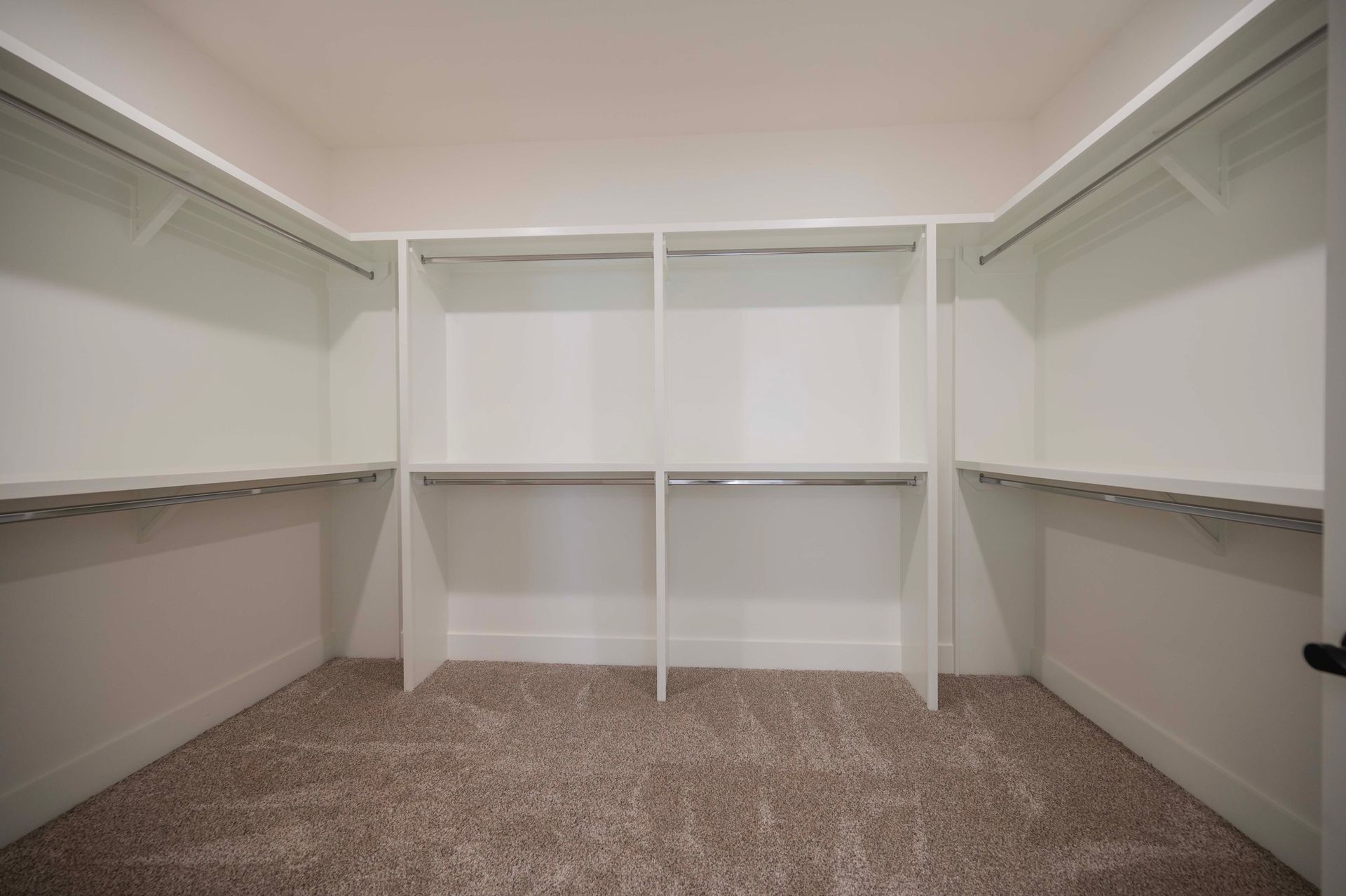 Empty white walk-in closet with shelves and rods, beige carpet flooring.