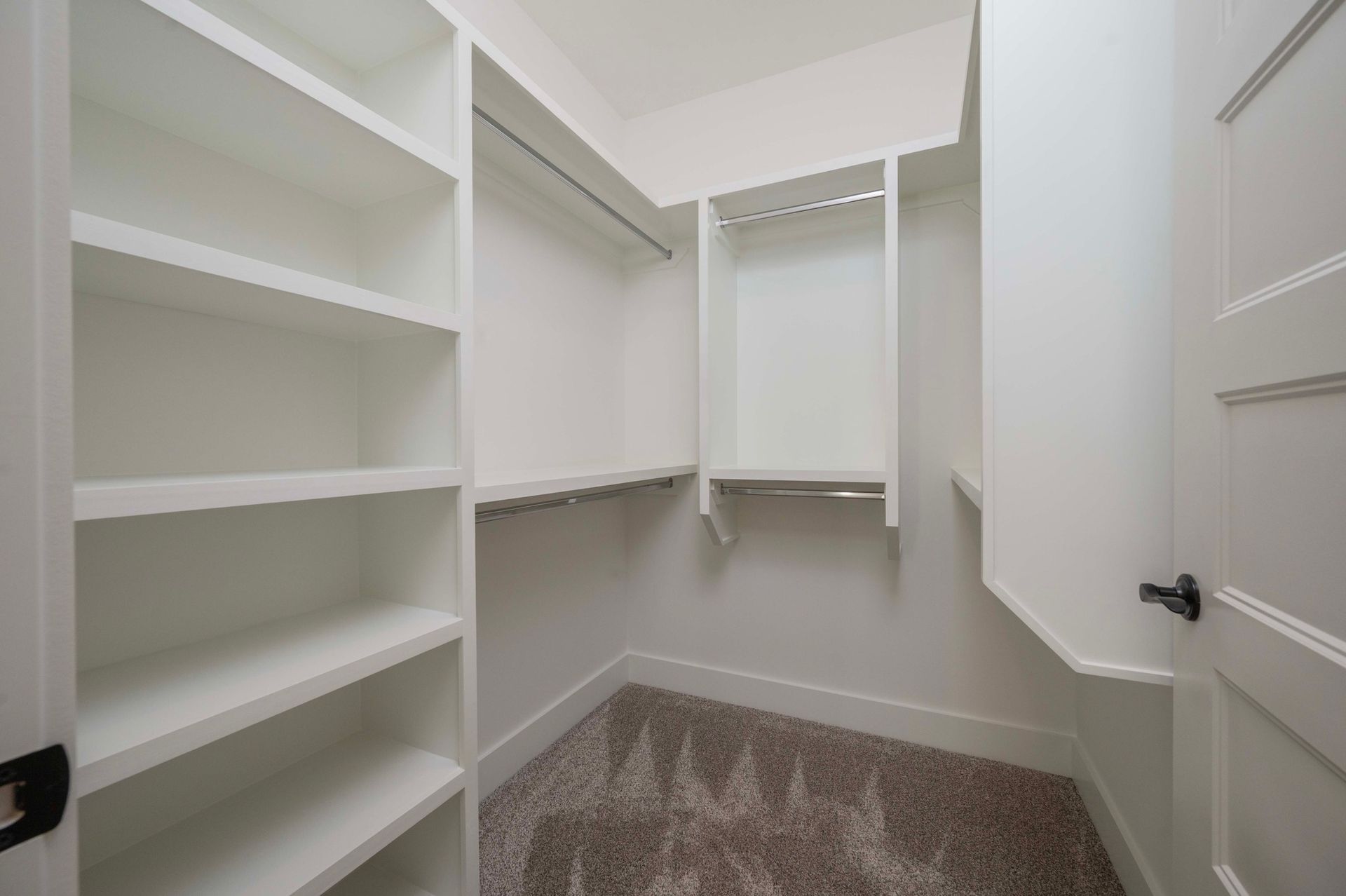 White walk-in closet with shelves, hanging rods, and carpet flooring. Door on right.