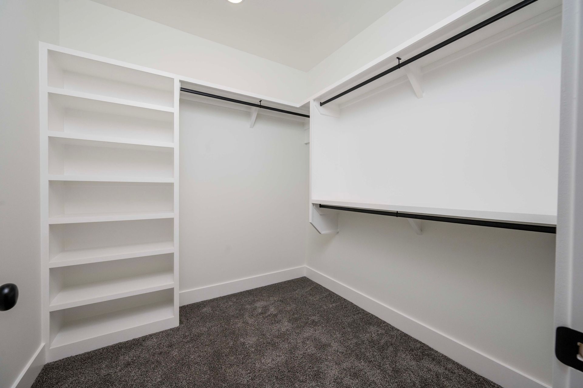 Empty walk-in closet with white shelves, rods, and trim, carpeted floor.