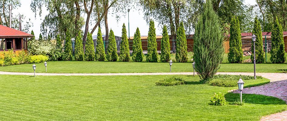 A lush green lawn with trees and a path leading to a house.