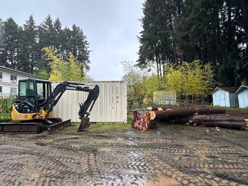 Mini excavator near a storage container and cut logs in a muddy outdoor area. Trees and a building in the background.