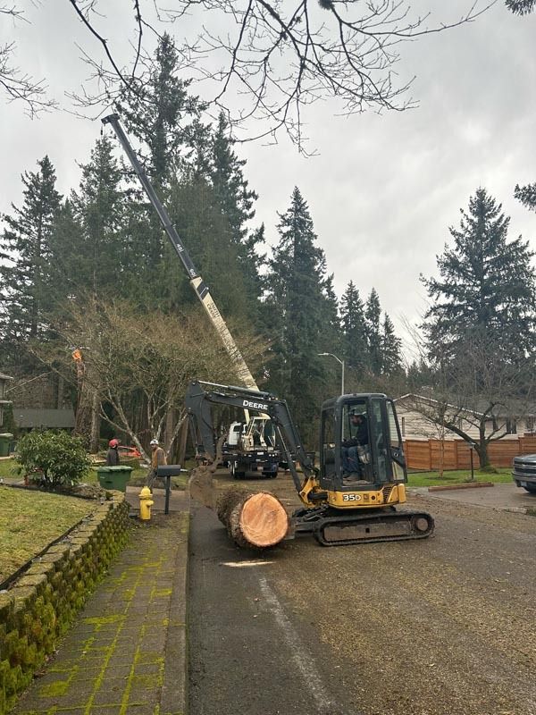 Tree removal operation: Crane, excavator, and cut log on a residential street. Overcast sky.