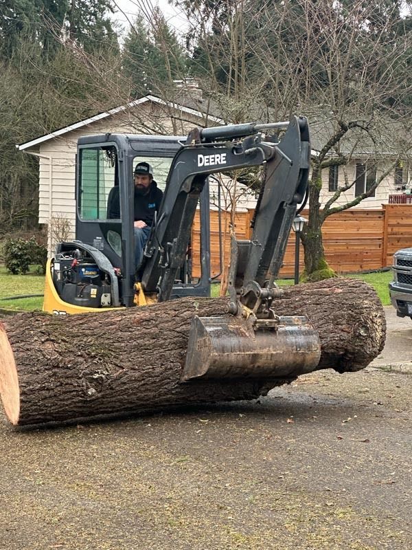 A small John Deere excavator is lifting a large log on a driveway with a person in the cab.
