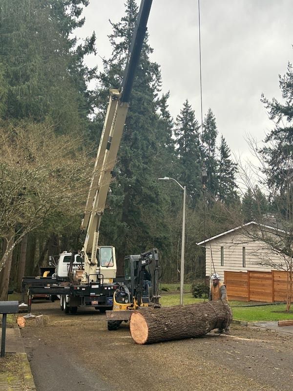 Crane lifting a large log on a residential street; worker nearby, light-colored crane and truck.