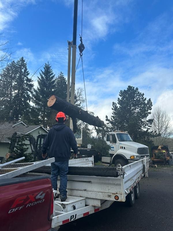 A worker loads a large log onto a trailer with a crane. White truck and trees in background.
