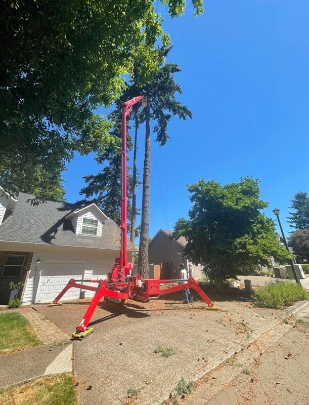 Red aerial lift trimming tall trees in front of a house on a sunny day.