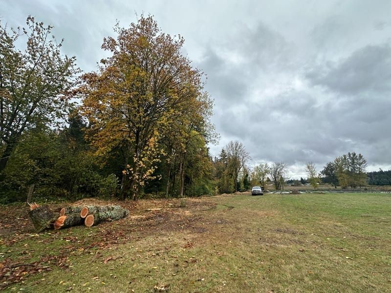 Logs on grass, a car in a field, and trees with autumn leaves under a cloudy sky.