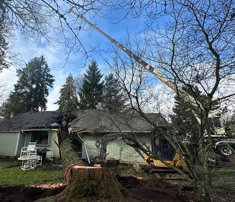 Tree being cut down near a house, with a stump in the foreground and a crane in use.