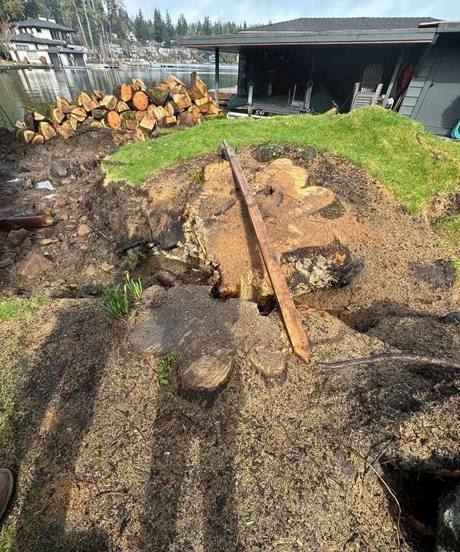 Erosion around a yard's landscaping, revealing exposed soil and wooden beams, by a lake with a house in the background.