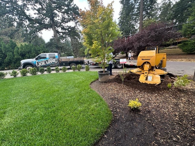 A tree stump grinder is in use near a newly landscaped yard and landscaping trucks.