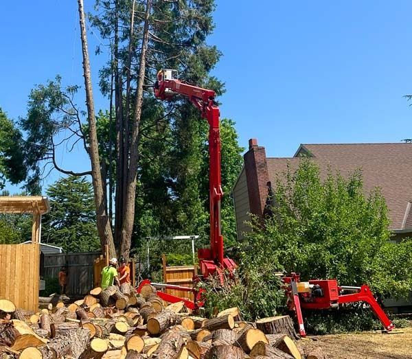 Red tree-trimming lift cutting a tall tree; logs and a worker visible in a sunny yard.