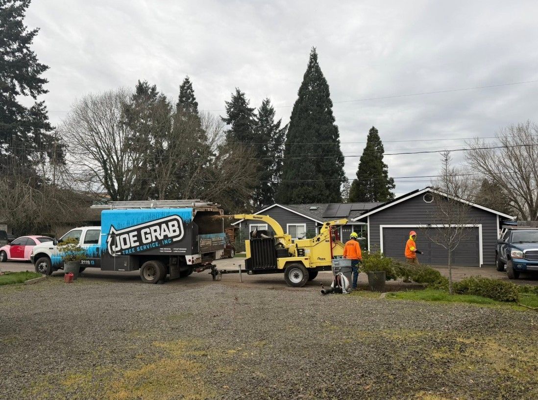 	tree service
