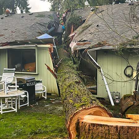 A large tree fell on two houses, splitting the roofs. Lawn furniture in the foreground.