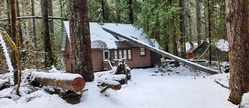 Snowy cabin in a forest, log in the foreground, falling tree on the roof.