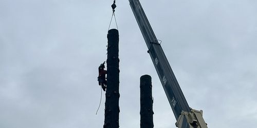 Joe Grab Tree Service