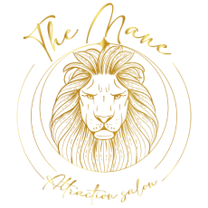 The Mane Attraction Hair Salon - logo