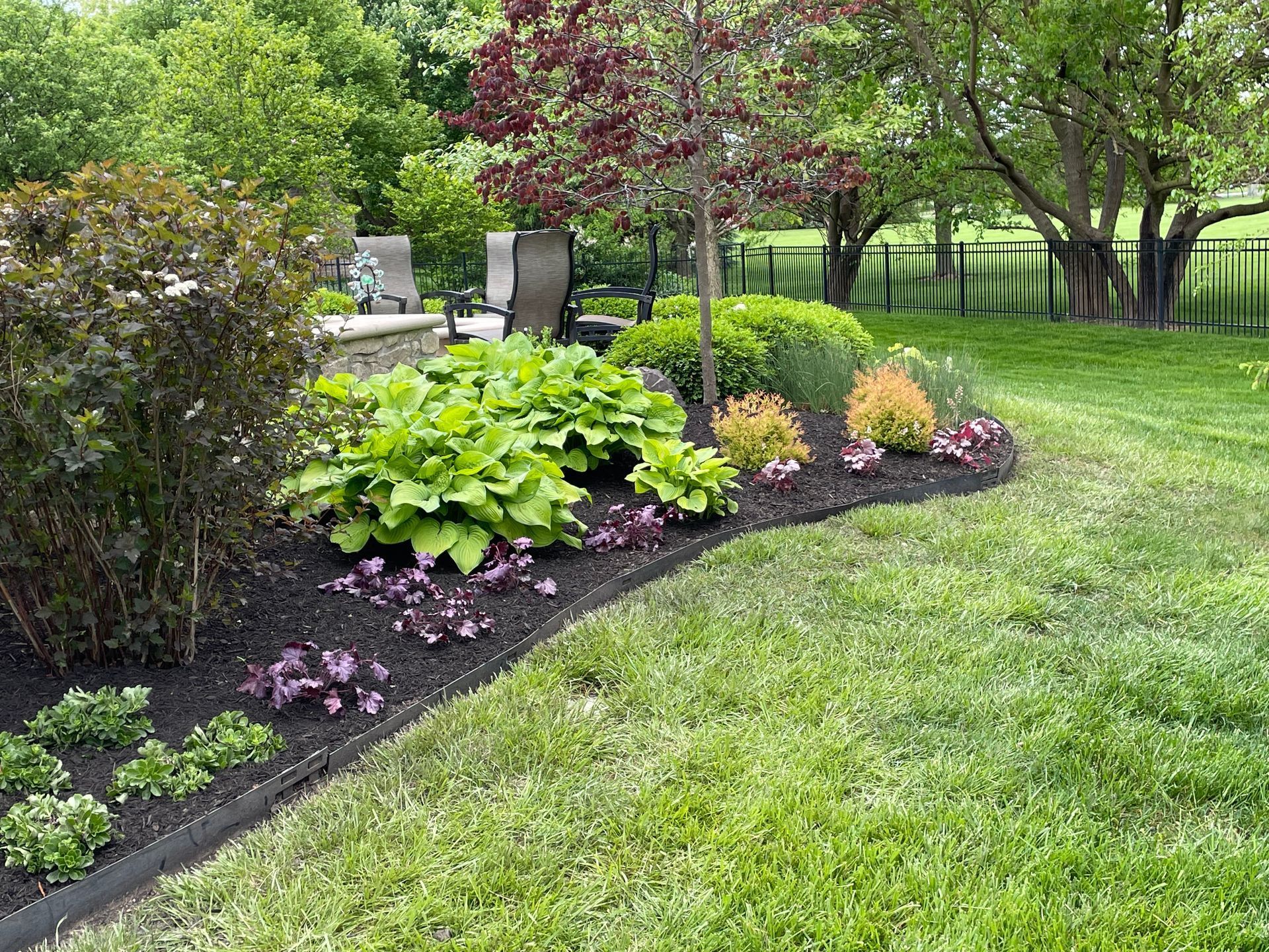 A lush green lawn with lots of plants and trees in a backyard.