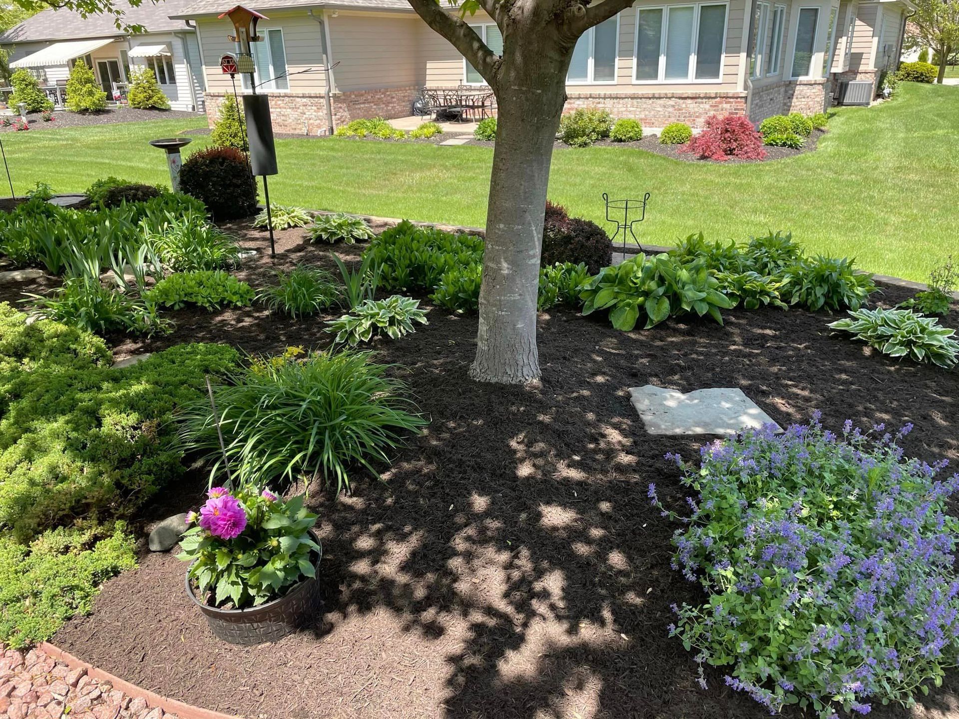 A garden with a tree and flowers in front of a house.