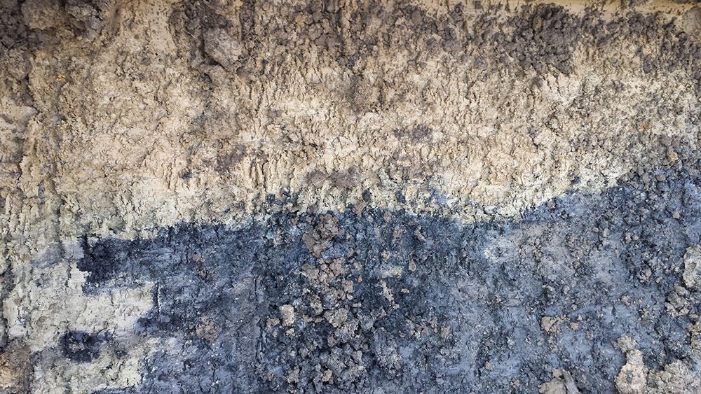 clay soil clogged #02