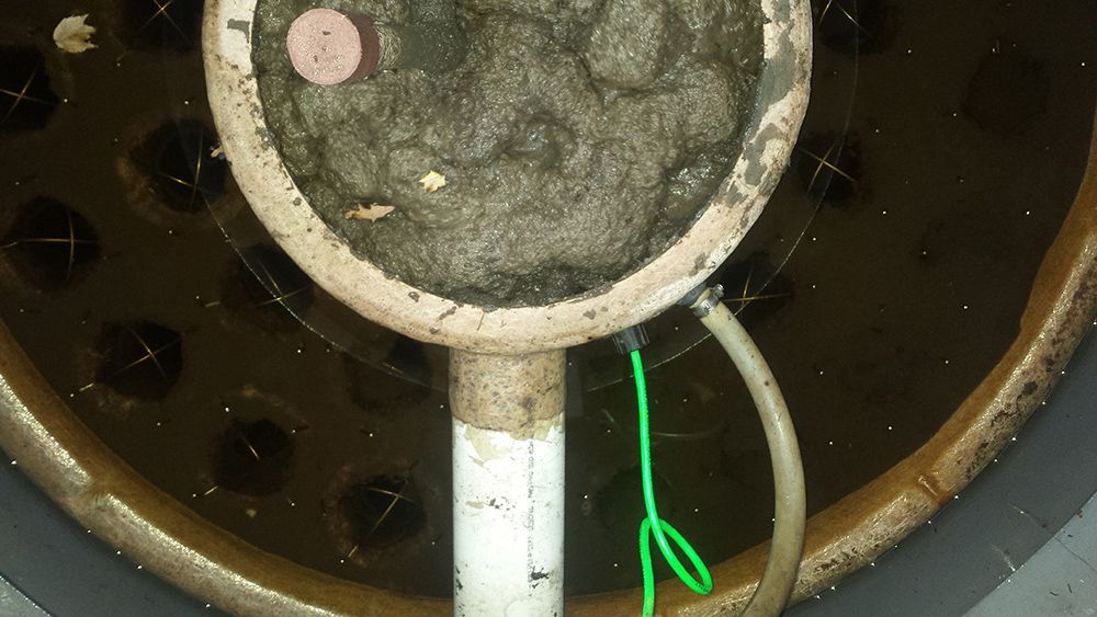 MultiFlo healthy #01