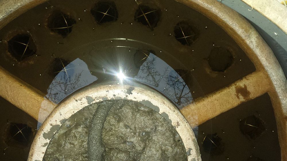 MultiFlo healthy #02