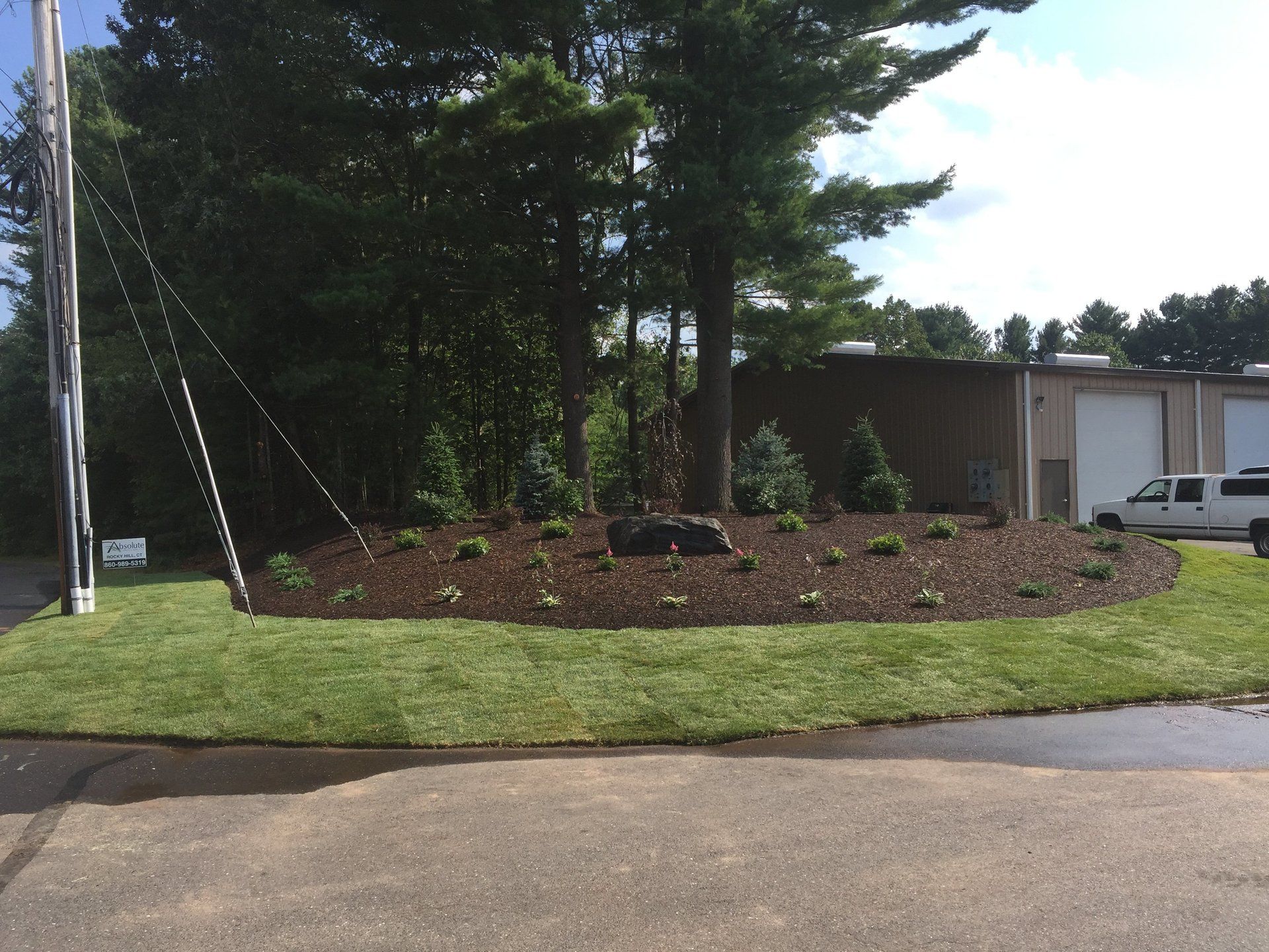 lawn care maintenance