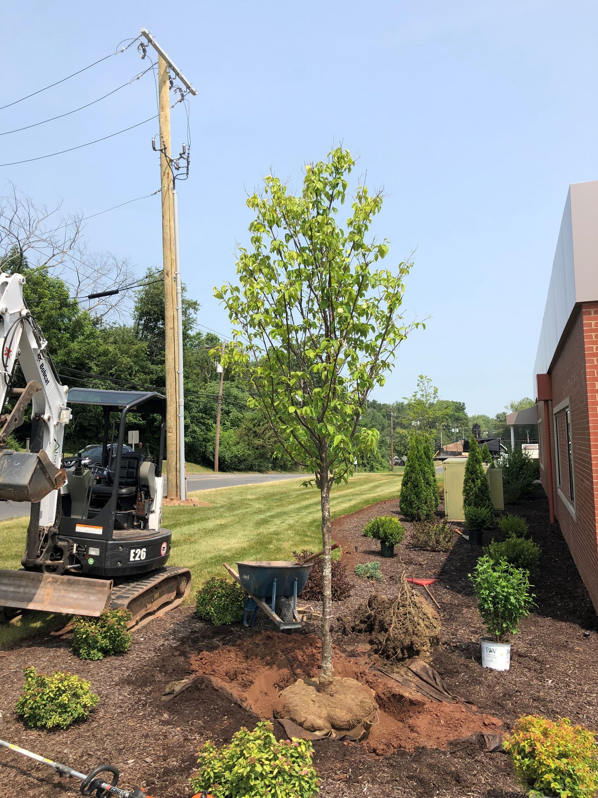 roadside garden design